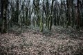 Invierno
